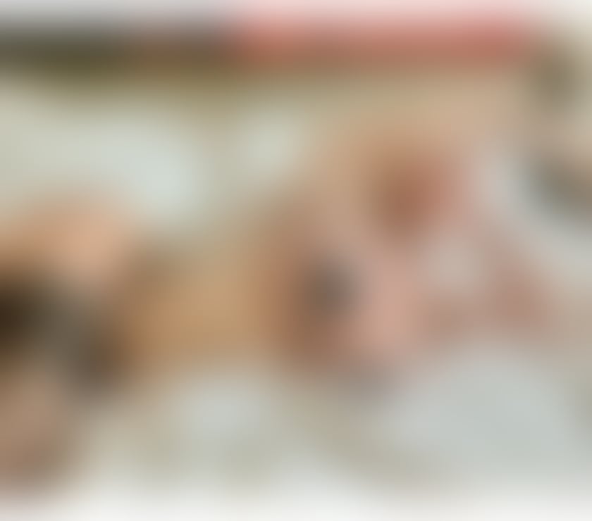Escorts Greater Manchester Bolton - Photos for Anya Bolton City Centre