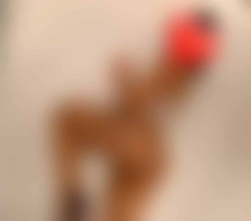 Escorts West London Acton - West London - Photos for hot girl xx call me 🥰🥰🥰🥰