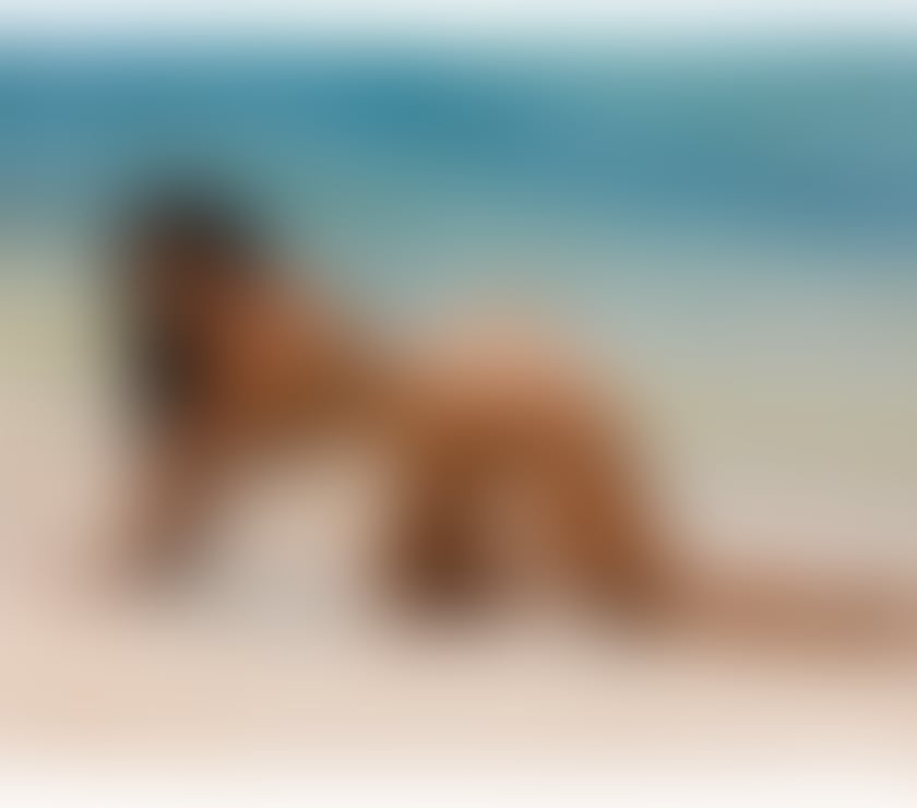 Escorts West Yorkshire Leeds - Photos for π₯ BIA NEW IN TOWN π₯PARTY GIRL π₯π¦π