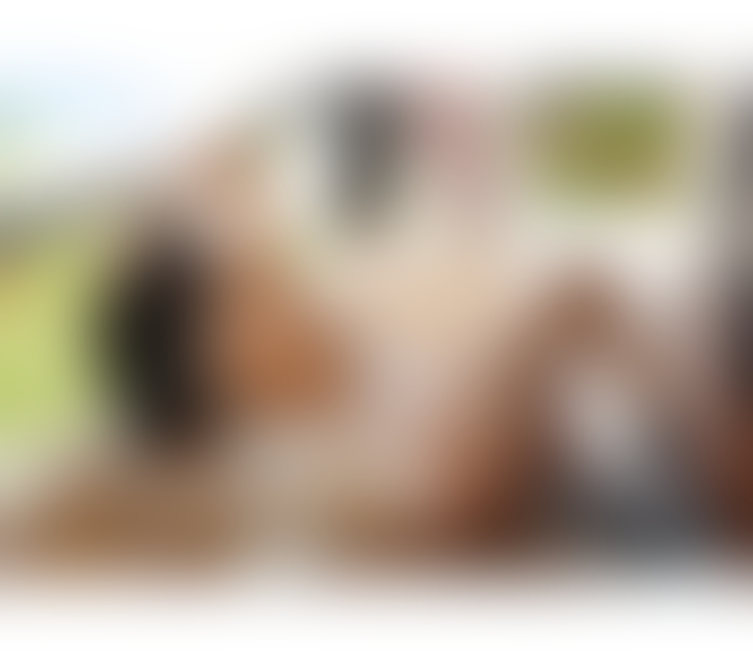 Escorts Warwickshire Warwick - Photos for BRAZILIAN PARTY GIRL IN YOUR AREA