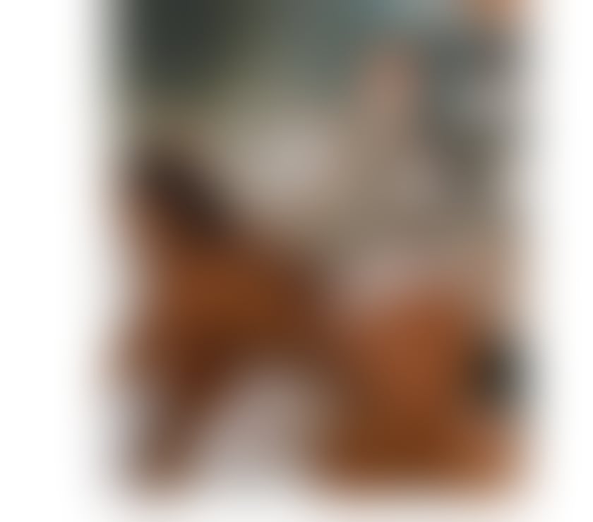 Escorts West Yorkshire Leeds - Photos for DIANNA❤️BIG ASS😜SWEET AFRICANN