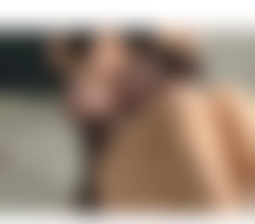 Escorts Kent Maidstone - Photos for ♥️Your Amazing 🇧🇷 Party girl ✨️ in Maidstone