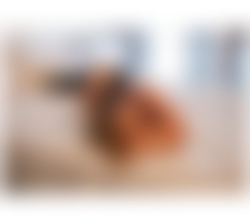 Escorts Bedfordshire Luton - Photos for Sensual Massage