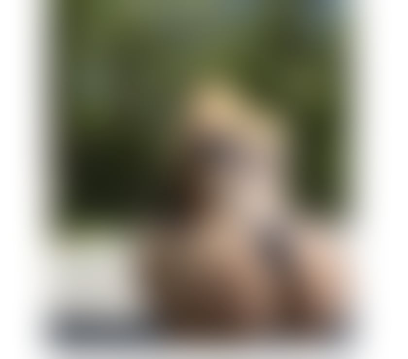 Escorts Buckinghamshire Milton Keynes - Photos for CRISTAL BEST EXPERIENCE ππ₯ LAST DAYS π₯³ππ§π·