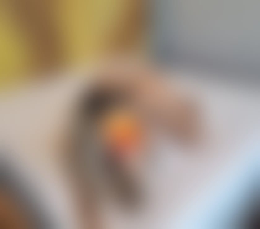  Escorts & Erotic Massage Edmonton North London - Photos for InCall&OutCall☎️🍭barbie doll🍭NO rosh‼️