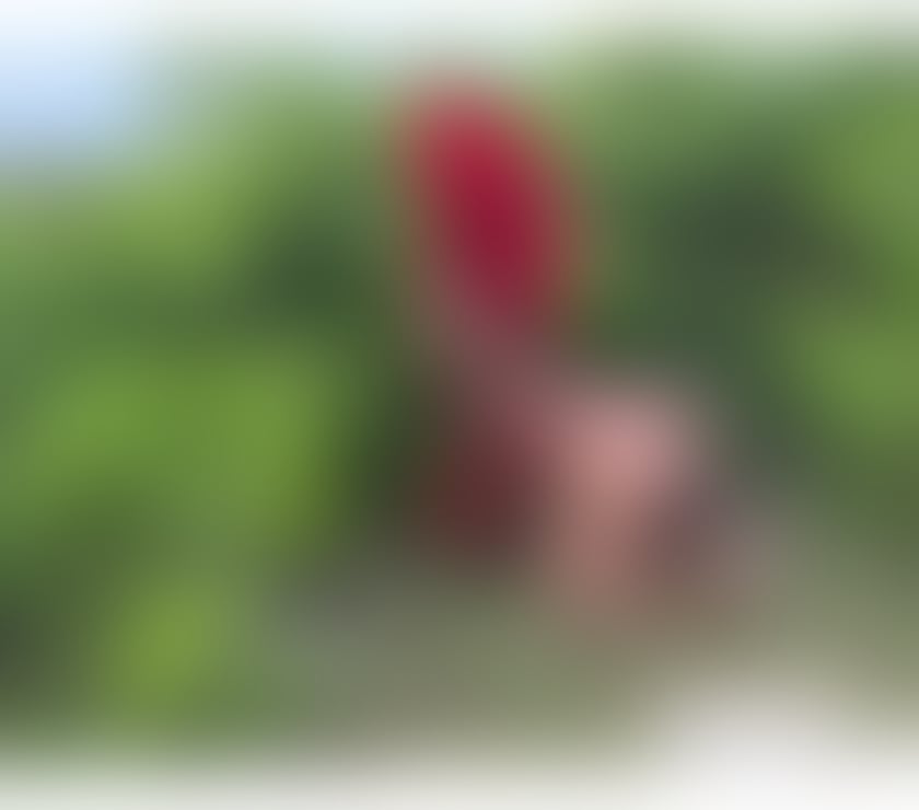 Trans Escorts Kent Maidstone - Photos for big Indian horse xxl 🍆