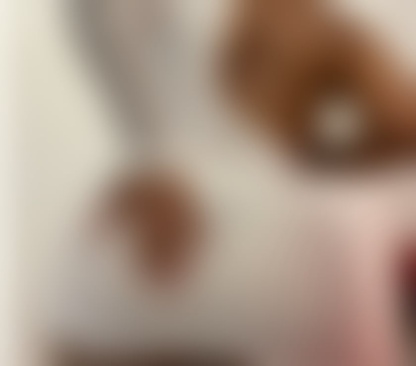 Escorts Tyne and Wear Sunderland - Photos for 💋 🔥🔥Sexy Hot Party Girl 🔥🔥