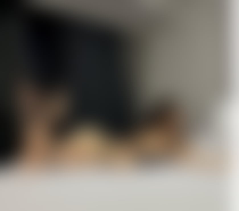 Escorts Newport - Wales Newport City Centre - Newport - Photos for New Girl In town Vanessa!!PARTY