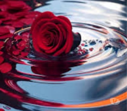 Massage Ilford Station Redbridge - Photos for Best Massage by Europeans and Indian