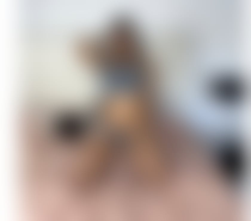 Escorts Tyne and Wear Newcastle upon Tyne - Photos for Micaela PARTYGIRL🔥🔥SWEET GFE💯REAL BRUNETTE