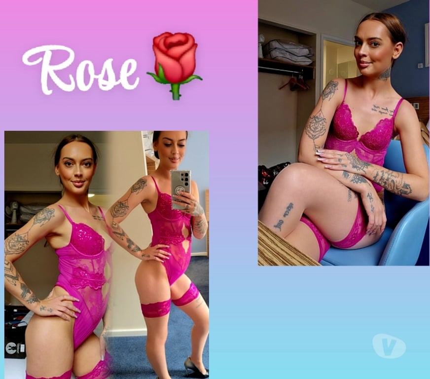 Escorts Tyne and Wear Newcastle upon Tyne - Photos for White British Rose 🌹 07300647789