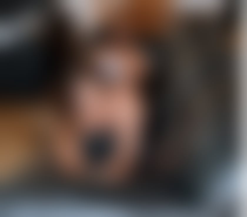 Escorts Belfast City Centre (South) Belfast - Photos for NATASHA TS NEW IN TOWN OUTCALLS