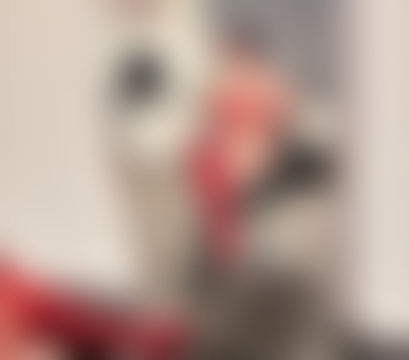 Escorts Tyne and Wear Gateshead - Photos for Taylor mature&local