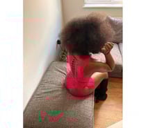 Gina Nutty Petite Afro Baddie 💋💋✨