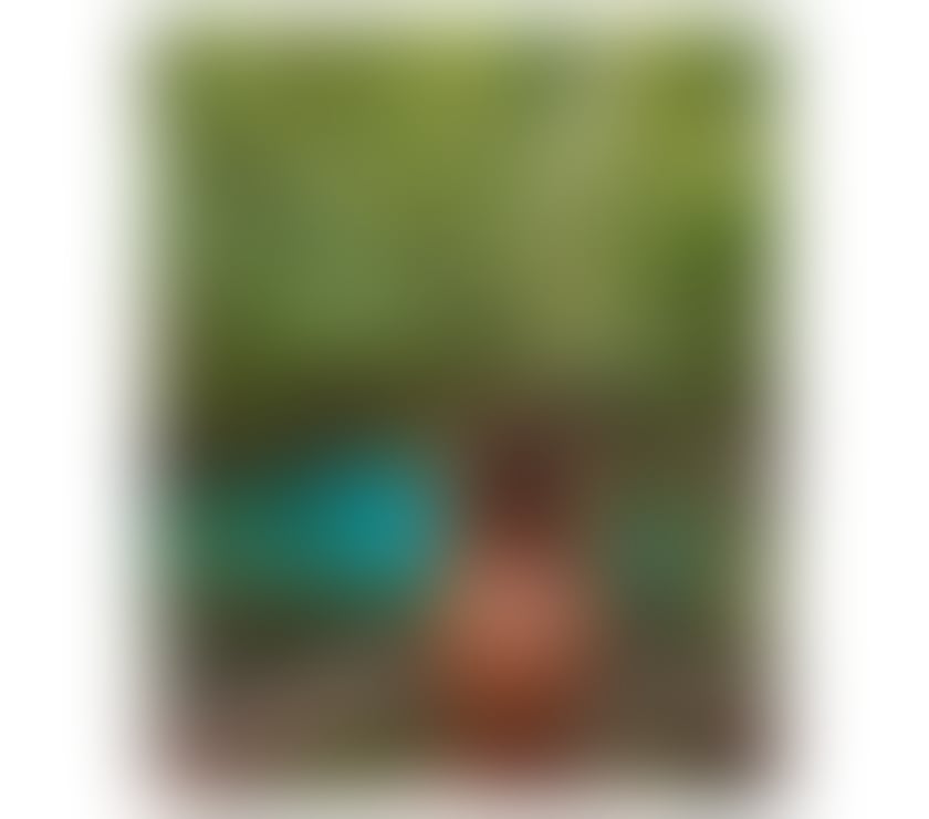 Escorts North London Ponders End - Enfield - Photos for Laura best party 🔥🎉 best owo -100% real