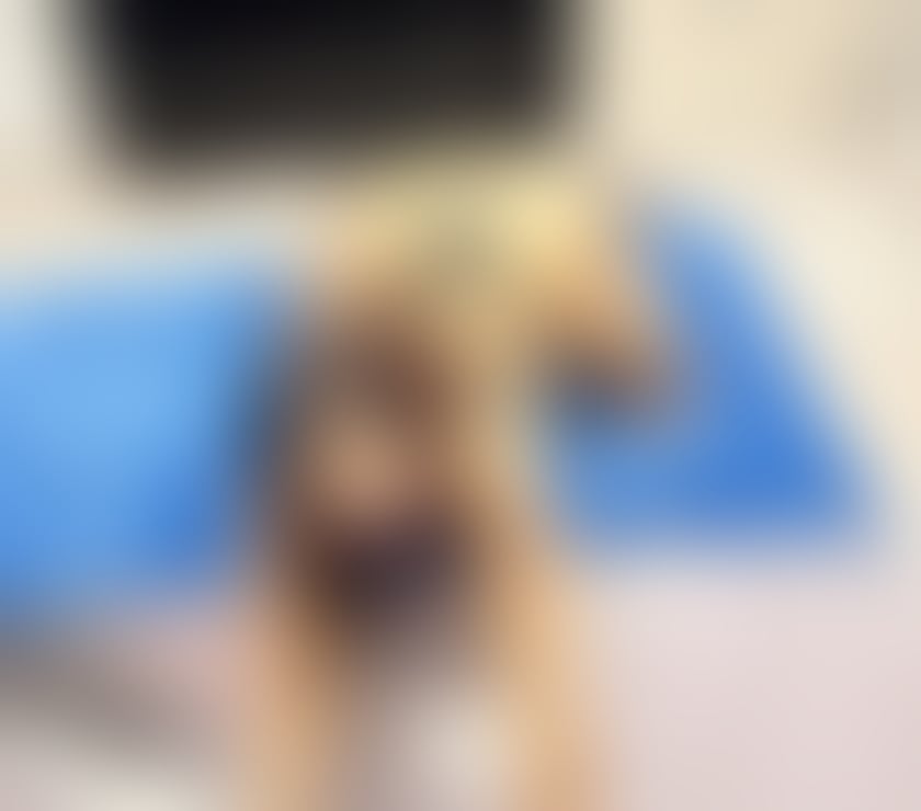 Trans Escorts East London Canning Town - East London - Photos for ❤️❤️New in your town trans❤️❤️