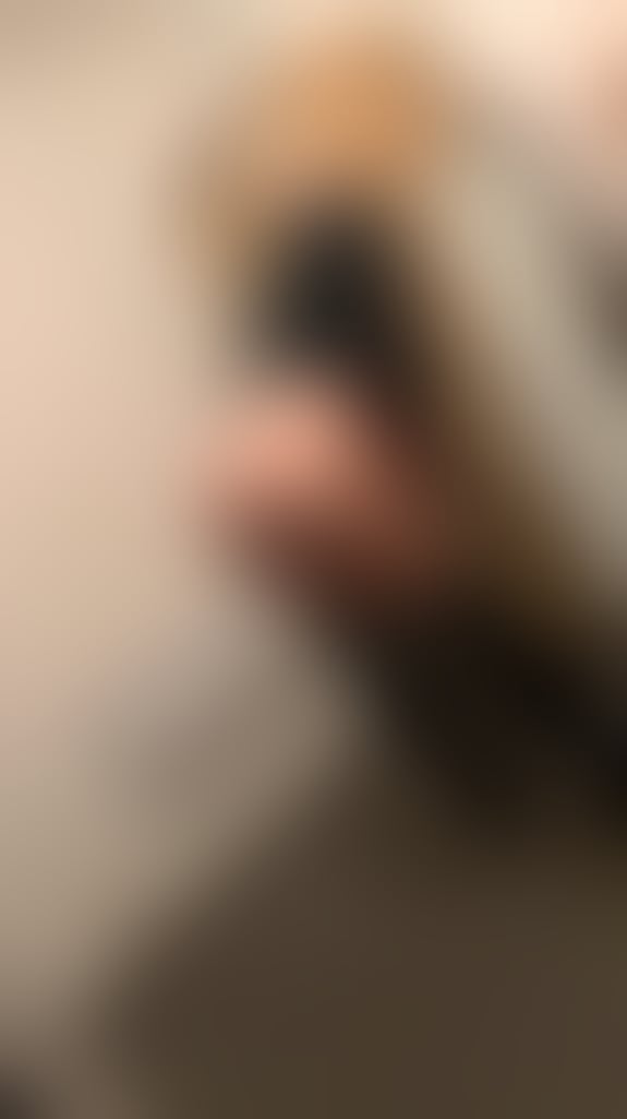 Escorts North West London Harrow - 