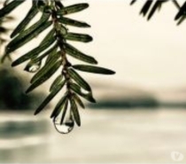 Full body massage Greater Manchester Stockport - Photos for The Best Asian Massage In Stockport City Central