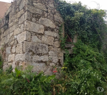 Terrenos - Fotos para Quintinha com casa em ruínas