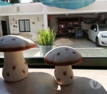 Apartamentos a venda Anadia - Fotos para A moradia com que sonha