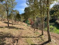 Terreno rústico, para venda, Marvão - S. Salvador da Aramenha