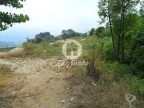 Guimaraes-Terreno (245-T-01273)