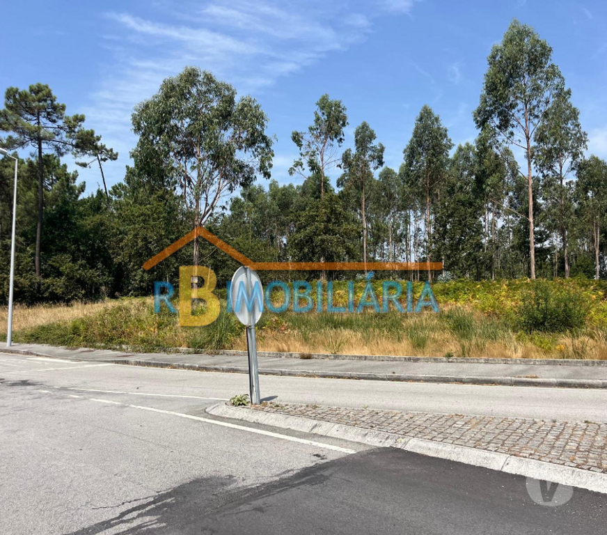 Terrenos Arouca - Fotos para Terreno para construção de pavilhão industrial - Escariz