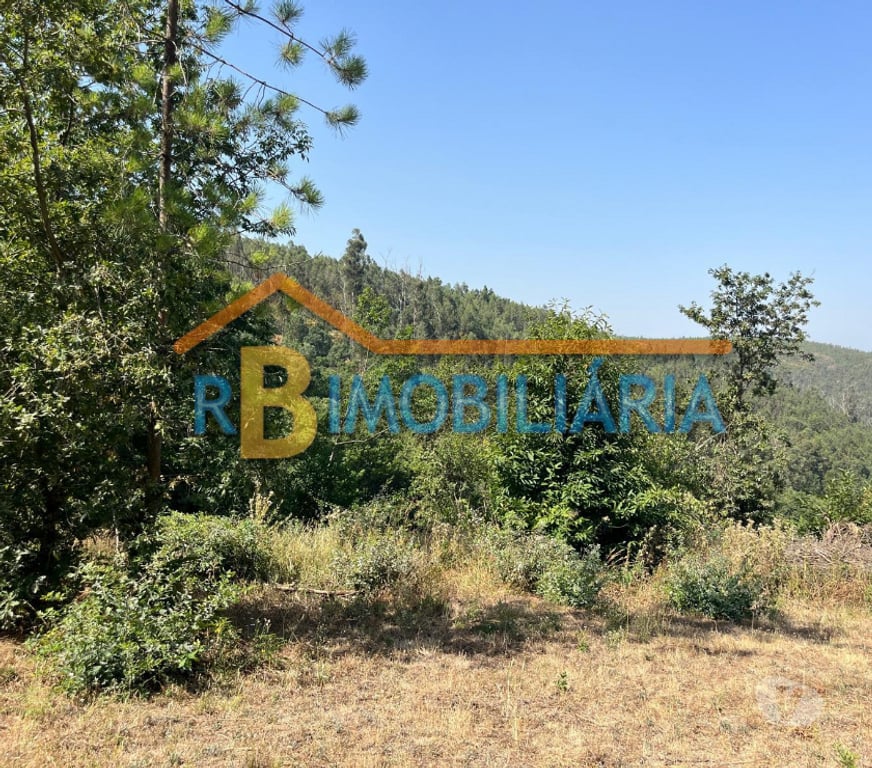 Terrenos Arouca - Fotos para Terreno na Ameixieira - Arouca