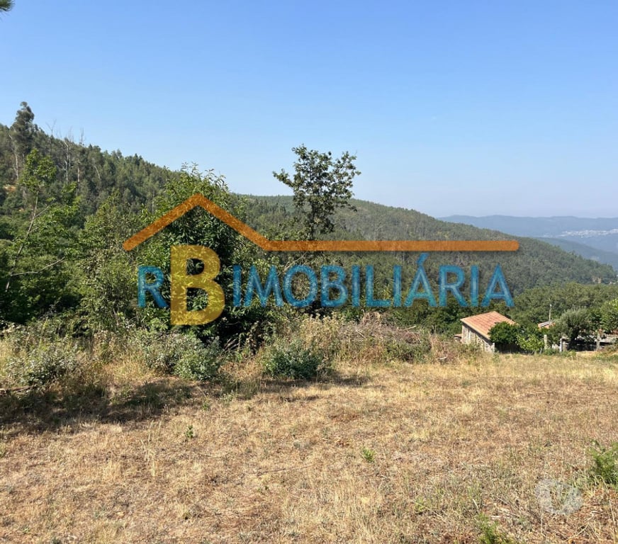 Terrenos Arouca - Fotos para Terreno na Ameixieira - Arouca