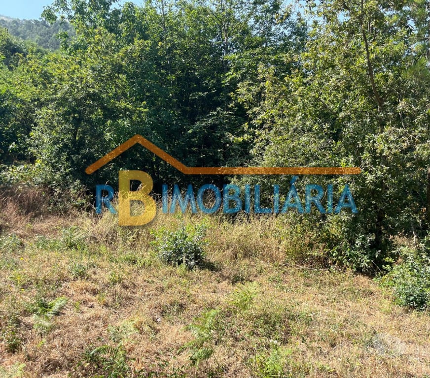 Terrenos Arouca - Fotos para Terreno na Ameixieira - Arouca