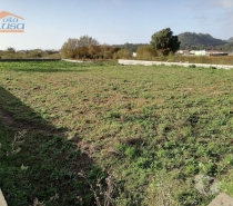 Terrenos Esposende - Fotos para Esposende-Terreno para construção - Antas (800215002)