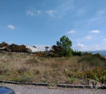 Terrenos Amarante - Fotos para Lote de terreno com 600m2 para construção de moradia Individual.