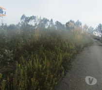 Terrenos Vila Nova de Gaia - Fotos para Terreno Pedroso com 10.000 m2 fáceis acessos (801222009)