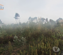 Terrenos Vila Nova de Gaia - Fotos para Terreno Pedroso com 10.000 m2 fáceis acessos (801222009)