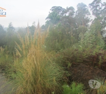 Terrenos Vila Nova de Gaia - Fotos para Terreno Pedroso com 10.000 m2 fáceis acessos (801222009)