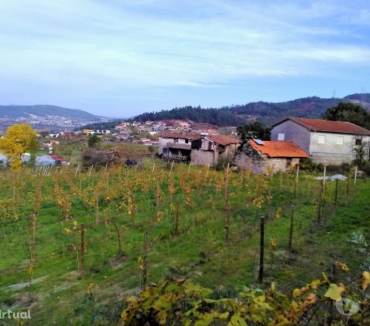 Terrenos e Quintas Guimarães - Fotos para Quinta com 3 hectares