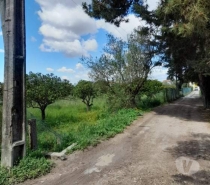 Terrenos Setúbal - Fotos para Azeitão Vendas Azeitão Terreno 1700m2 para 2 Moradias