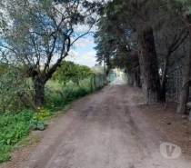 Terrenos Setúbal - Fotos para Azeitão Vendas Azeitão Terreno 1700m2 para 2 Moradias
