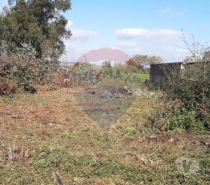 Terrenos Maia - Fotos para Maia-Terreno para venda (124851179-6)