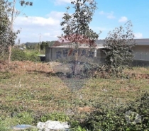 Terrenos Maia - Fotos para Maia-Terreno para venda (124851179-6)