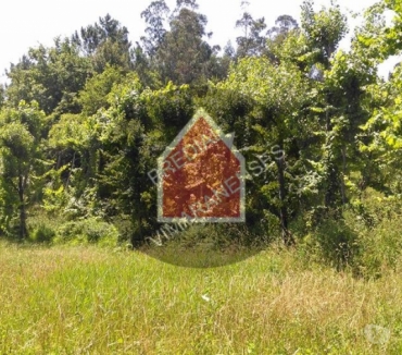 Terrenos - Fotos para Quinta - Gominhães - 290.000