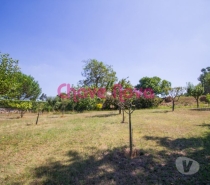 Terrenos Lousada - Fotos para Lousada-Quinta em Lousada (GN 00623)