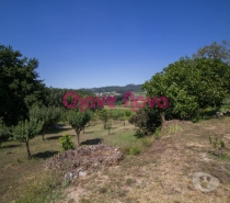 Terrenos Lousada - Fotos para Lousada-Quinta em Lousada (GN 00623)
